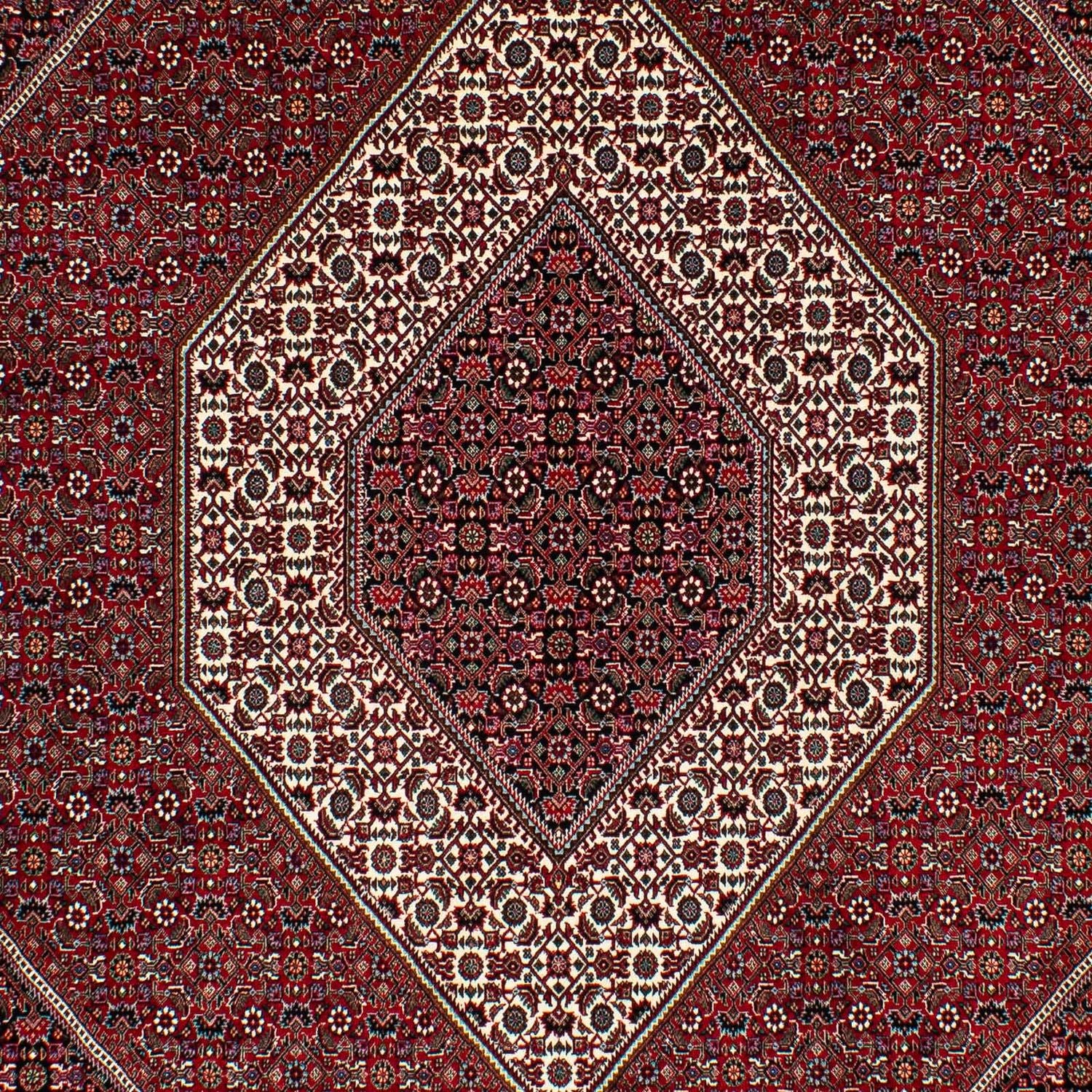 Alfombra persa - Bidjar - 295 x 202 cm - rojo oscuro