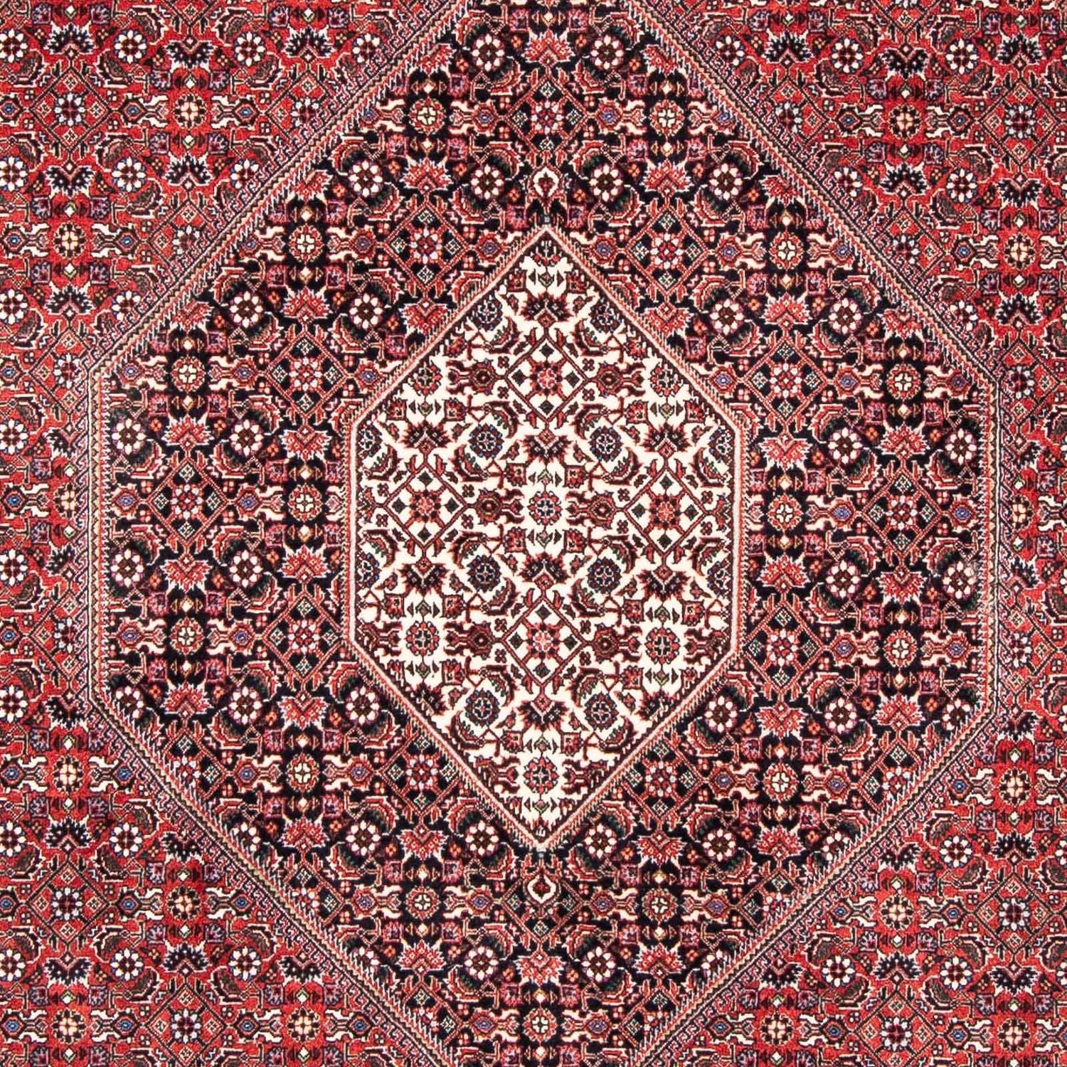 Alfombra persa - Bidjar - 253 x 174 cm - rojo claro