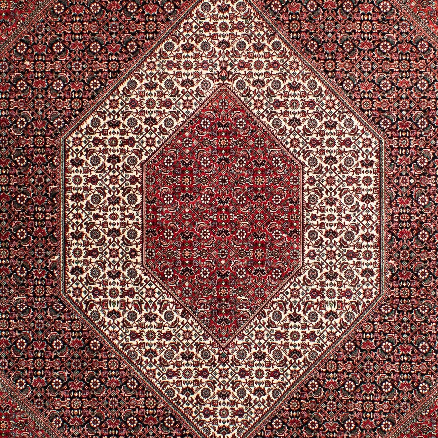 Alfombra persa - Bidjar - 293 x 203 cm - rojo claro