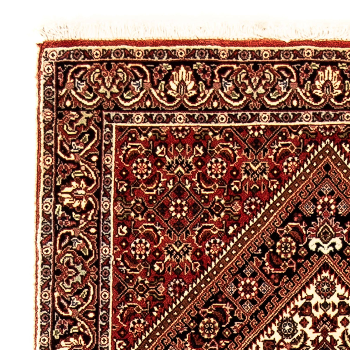 Alfombra de pasillo Alfombra persa - Bidjar - 225 x 69 cm - multicolor