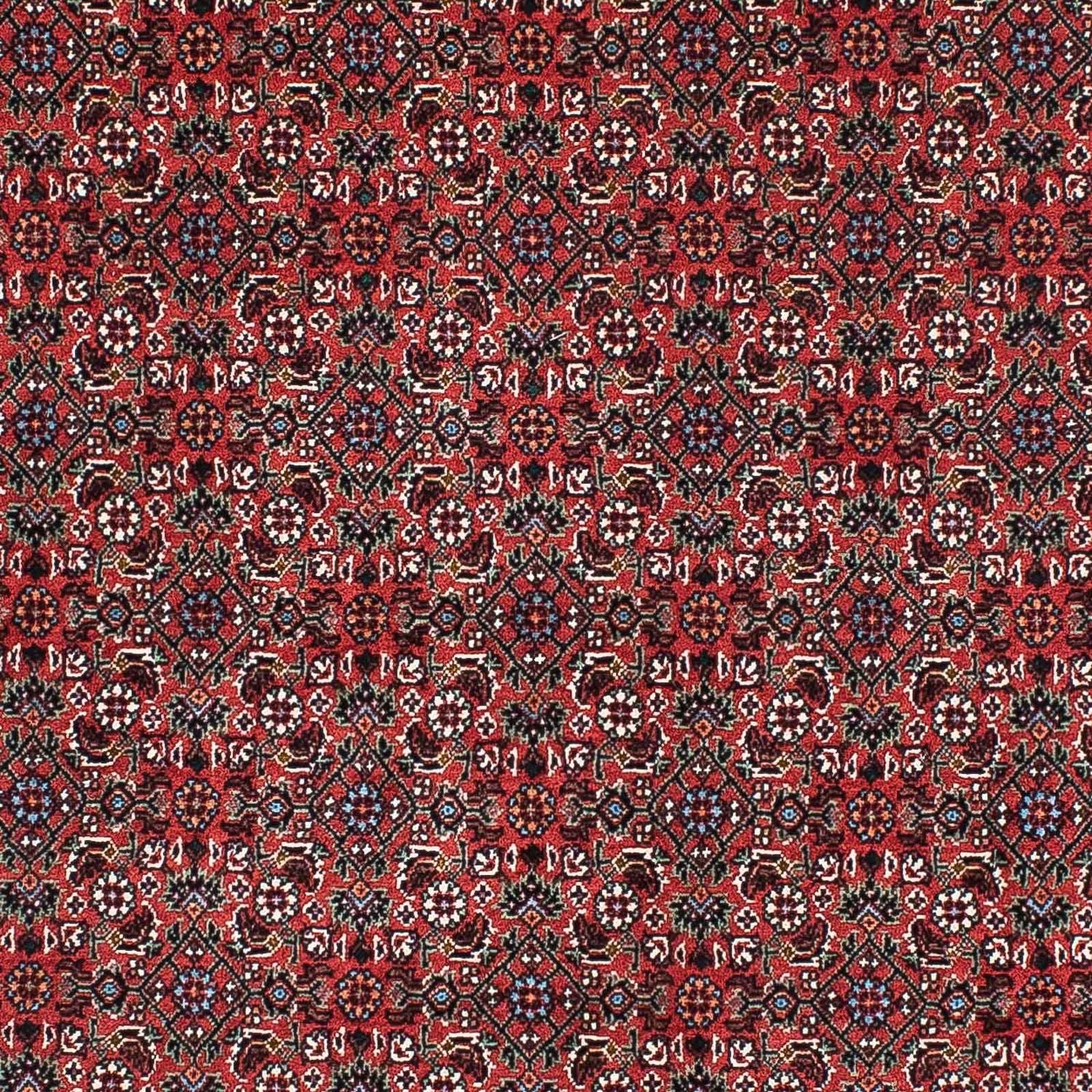 Alfombra de pasillo Alfombra persa - Bidjar - 204 x 99 cm - rojo