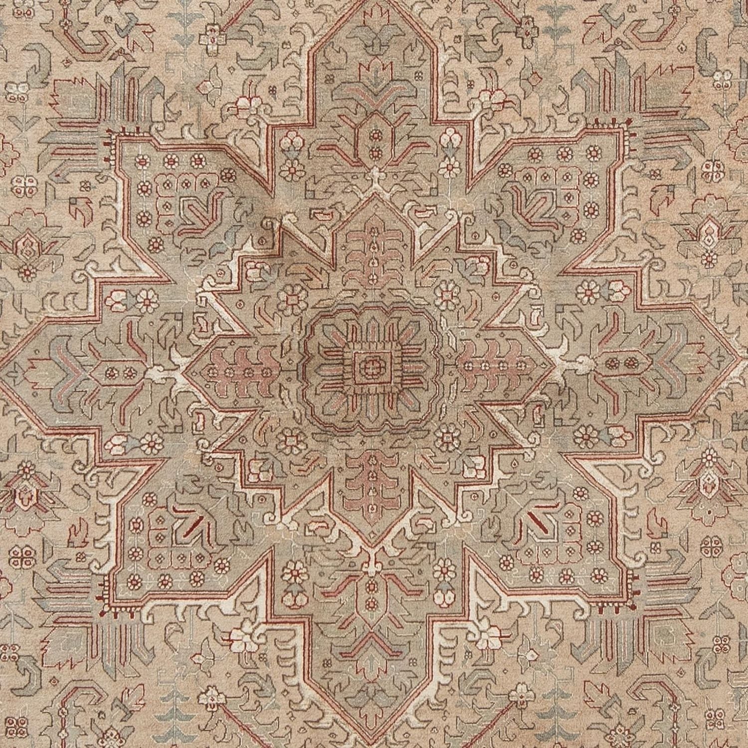 Alfombra Persa - Tabriz - Real - 296 x 198 cm - marrón claro