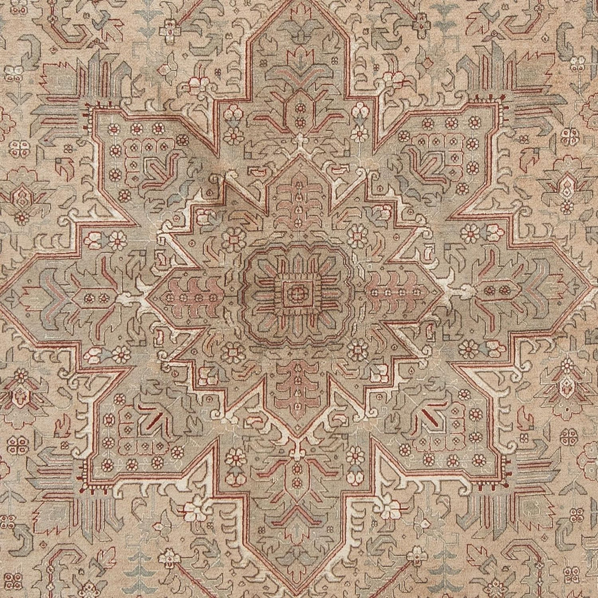 Alfombra Persa - Tabriz - Real - 296 x 198 cm - marrón claro