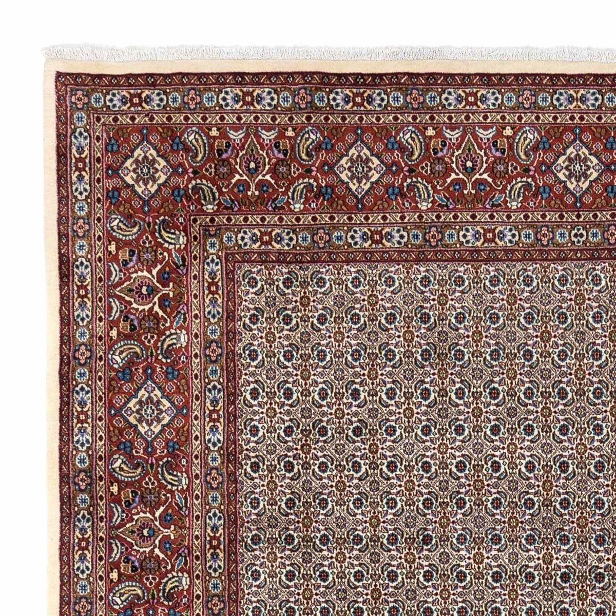 Moud Alfombra 243x345cm - Alfombra persa