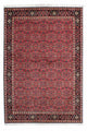 Bidjar - Zanjan Alfombra 140x206cm - Alfombra persa