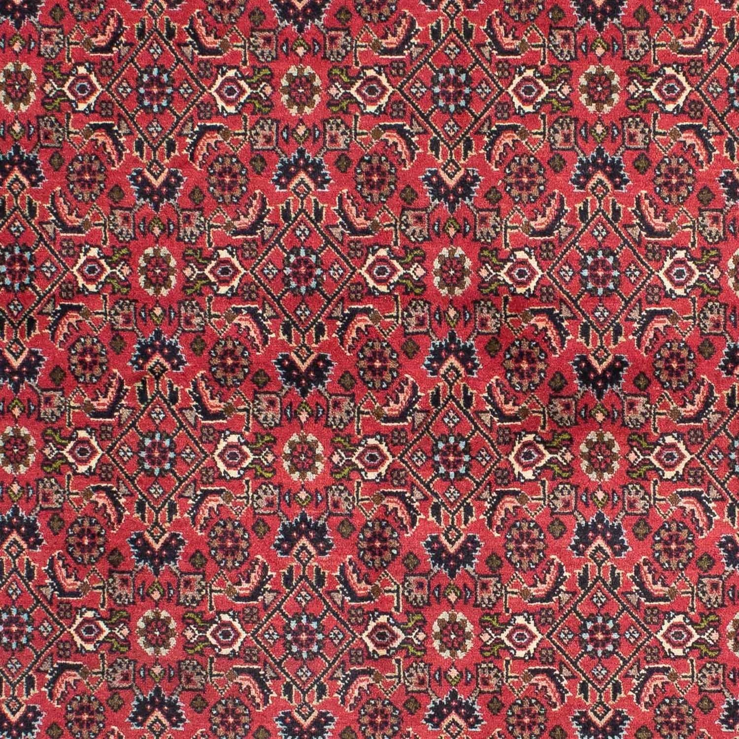 Alfombra persa - Bidjar - 206 x 140 cm - rojo