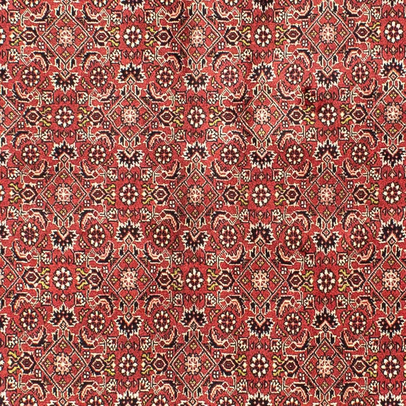 Alfombra persa - Bidjar - 205 x 141 cm - rojo oscuro