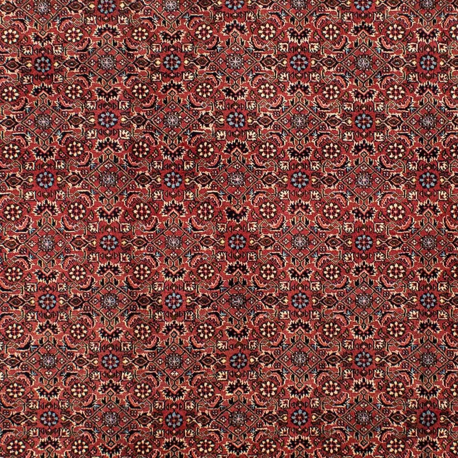 Alfombra persa - Bidjar - 300 x 200 cm - rojo oscuro