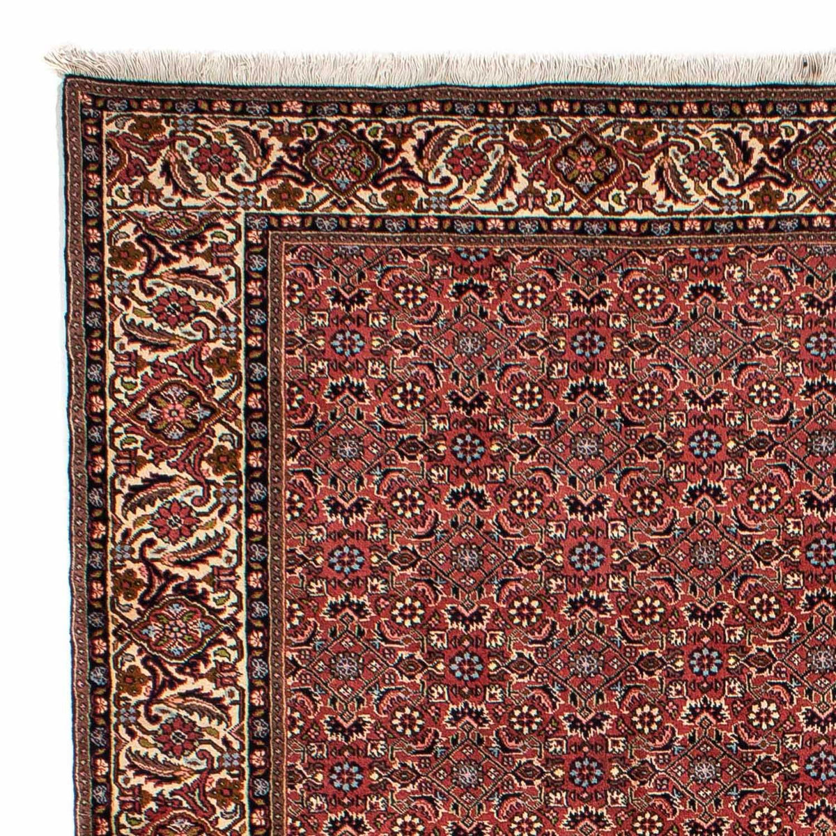 Bidjar Alfombra 200x300cm - Alfombra persa