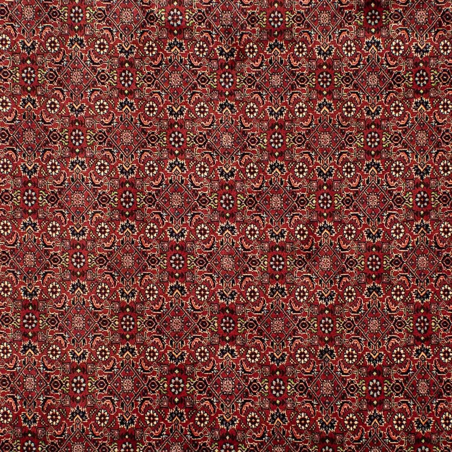 Alfombra persa - Bidjar - 302 x 203 cm - rojo oscuro