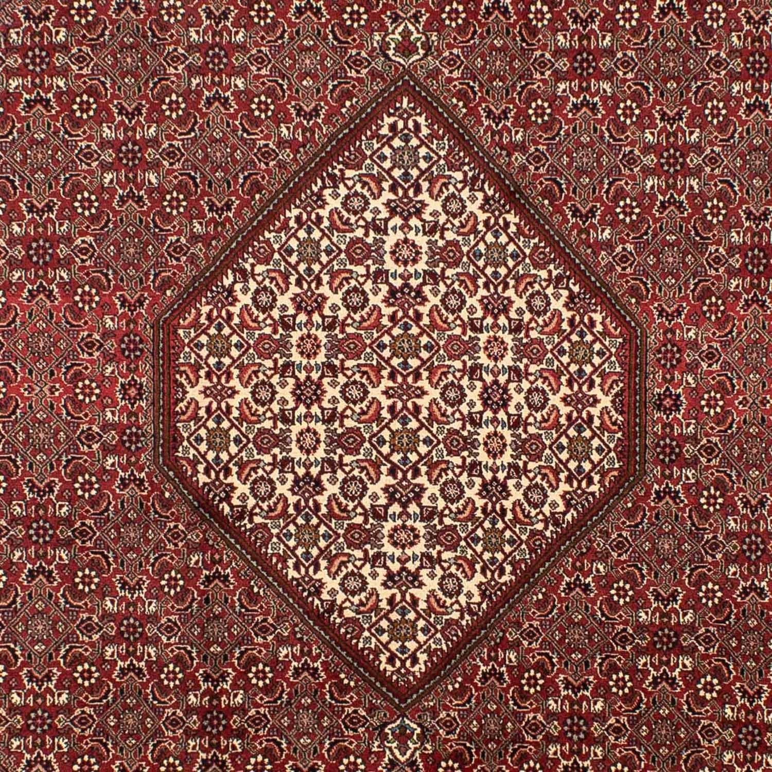 Alfombra persa - Bidjar - 295 x 204 cm - marrón