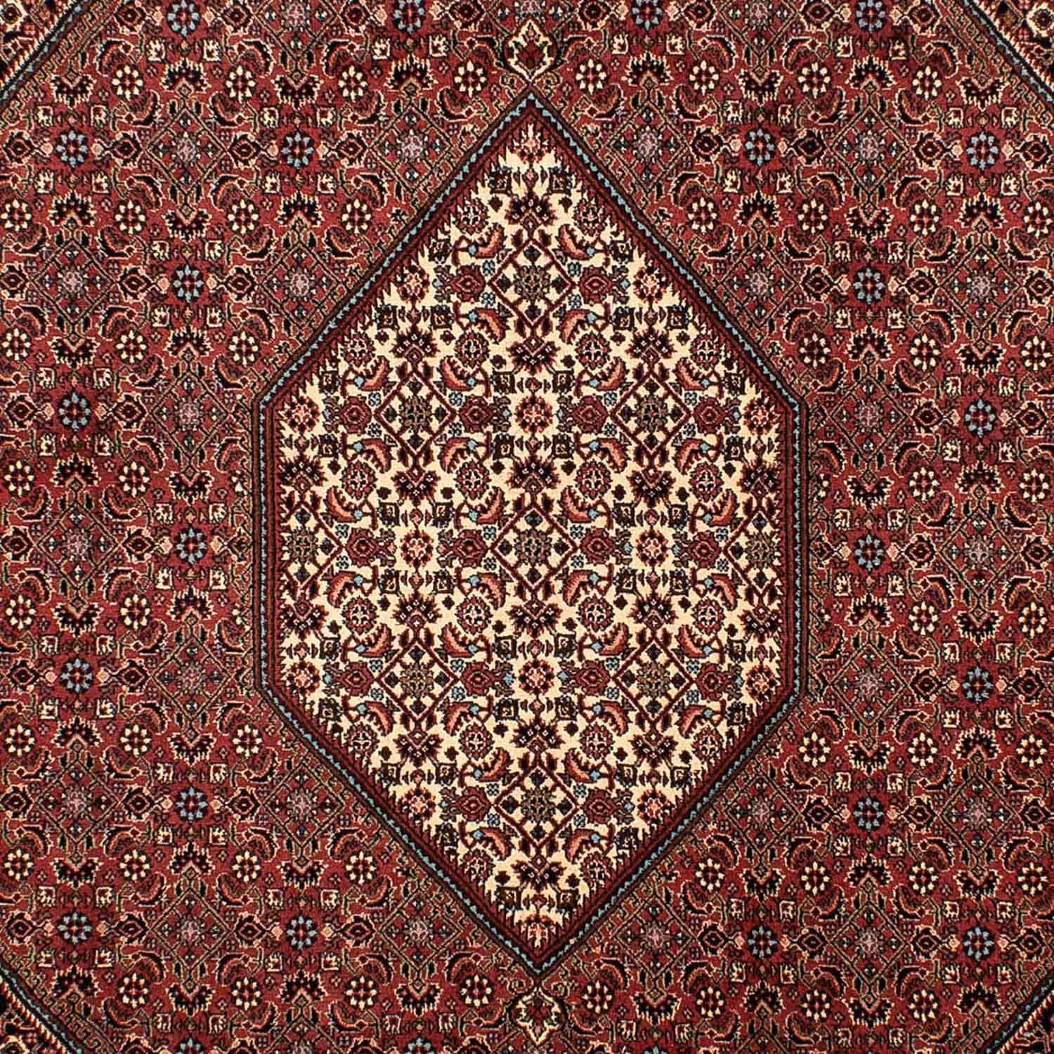Alfombra persa - Bidjar - 298 x 206 cm - marrón
