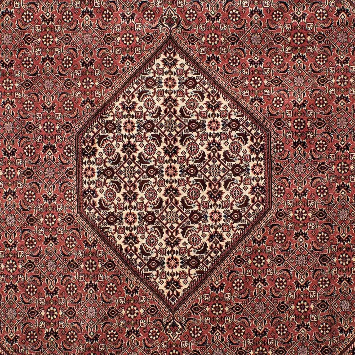 Alfombra persa - Bidjar - 308 x 204 cm - marrón