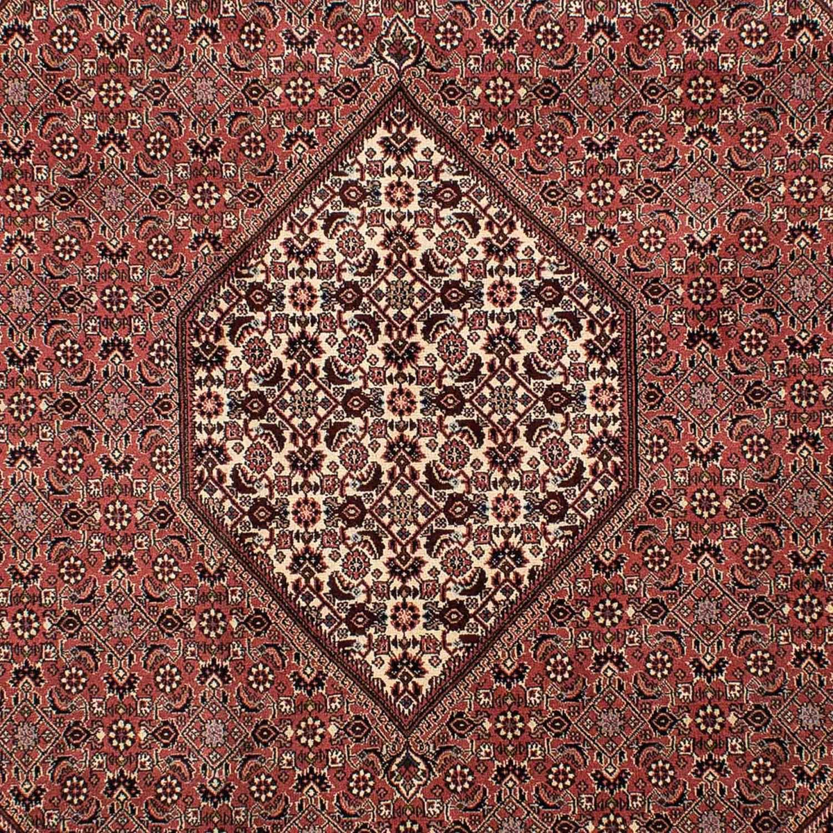 Alfombra persa - Bidjar - 308 x 204 cm - marrón