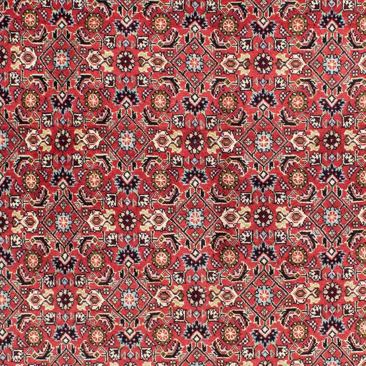Alfombra persa - Bidjar - 233 x 138 cm - rojo