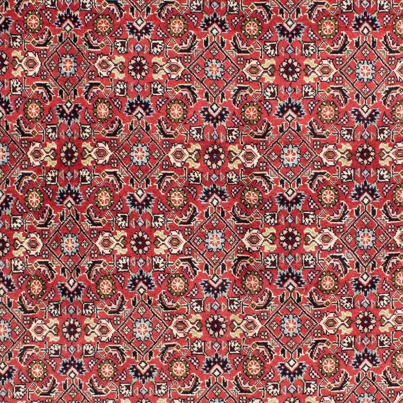 Alfombra persa - Bidjar - 233 x 138 cm - rojo