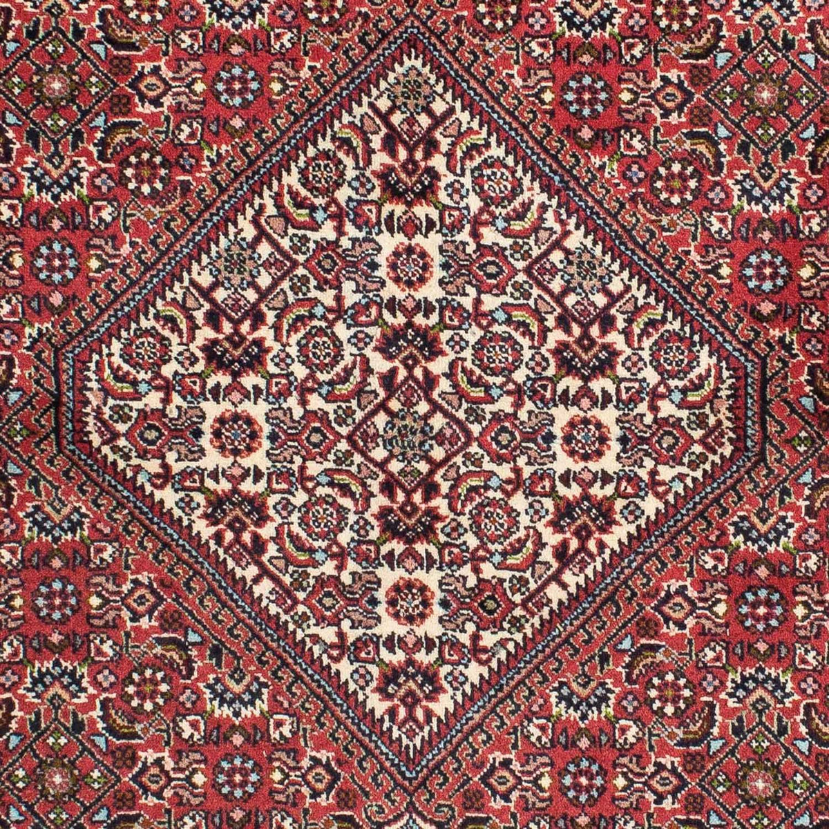 Alfombra persa - Bidjar - 224 x 140 cm - rojo