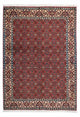 Bidjar - Zanjan Alfombra 137x193cm - Alfombra persa