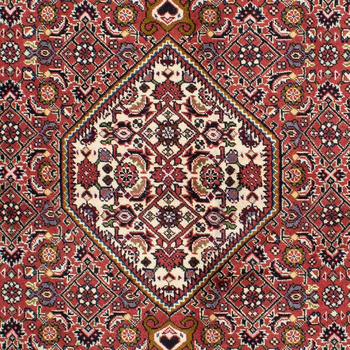 Alfombra persa - Bidjar - 220 x 136 cm - rojo