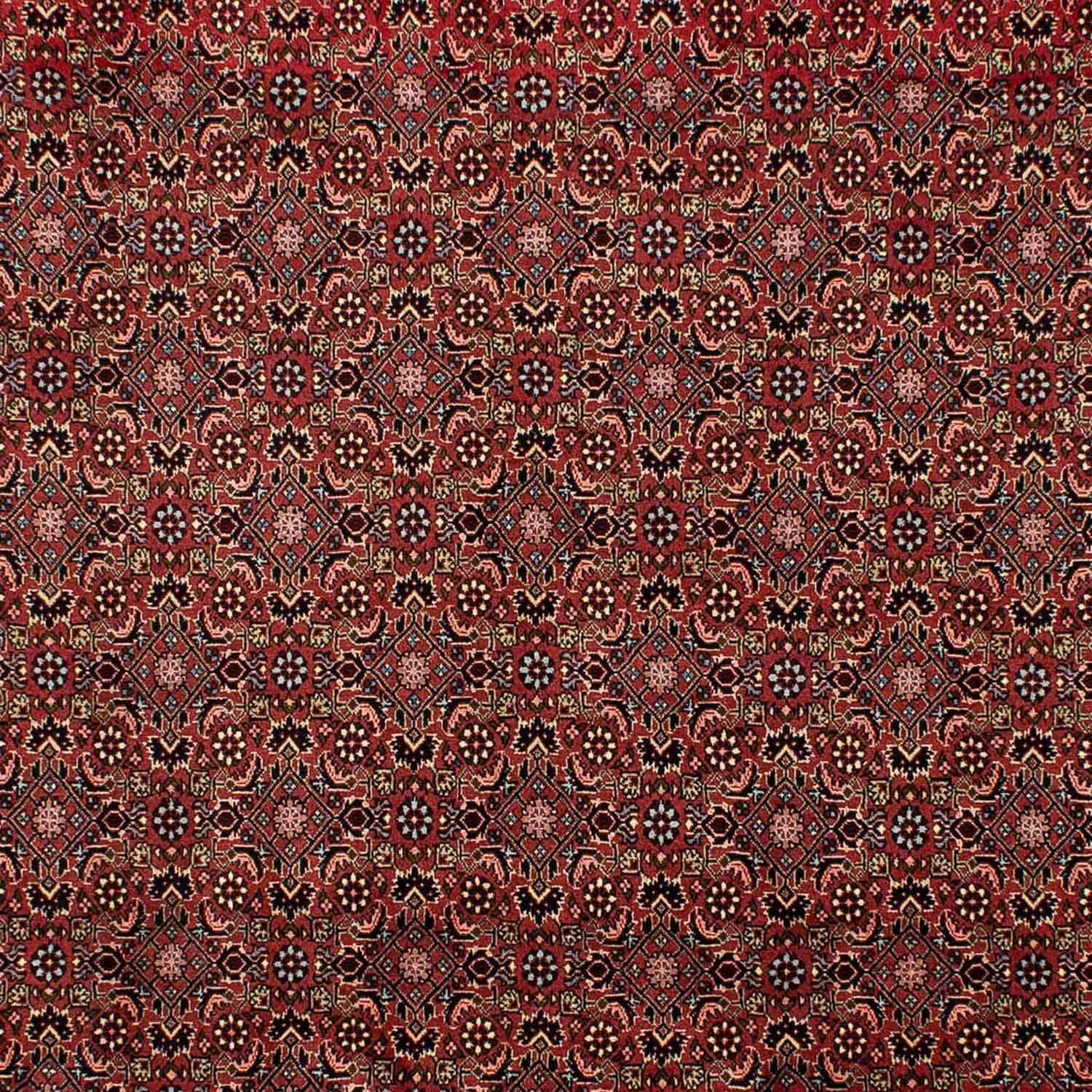 Alfombra persa - Bidjar - 298 x 198 cm - rojo oscuro