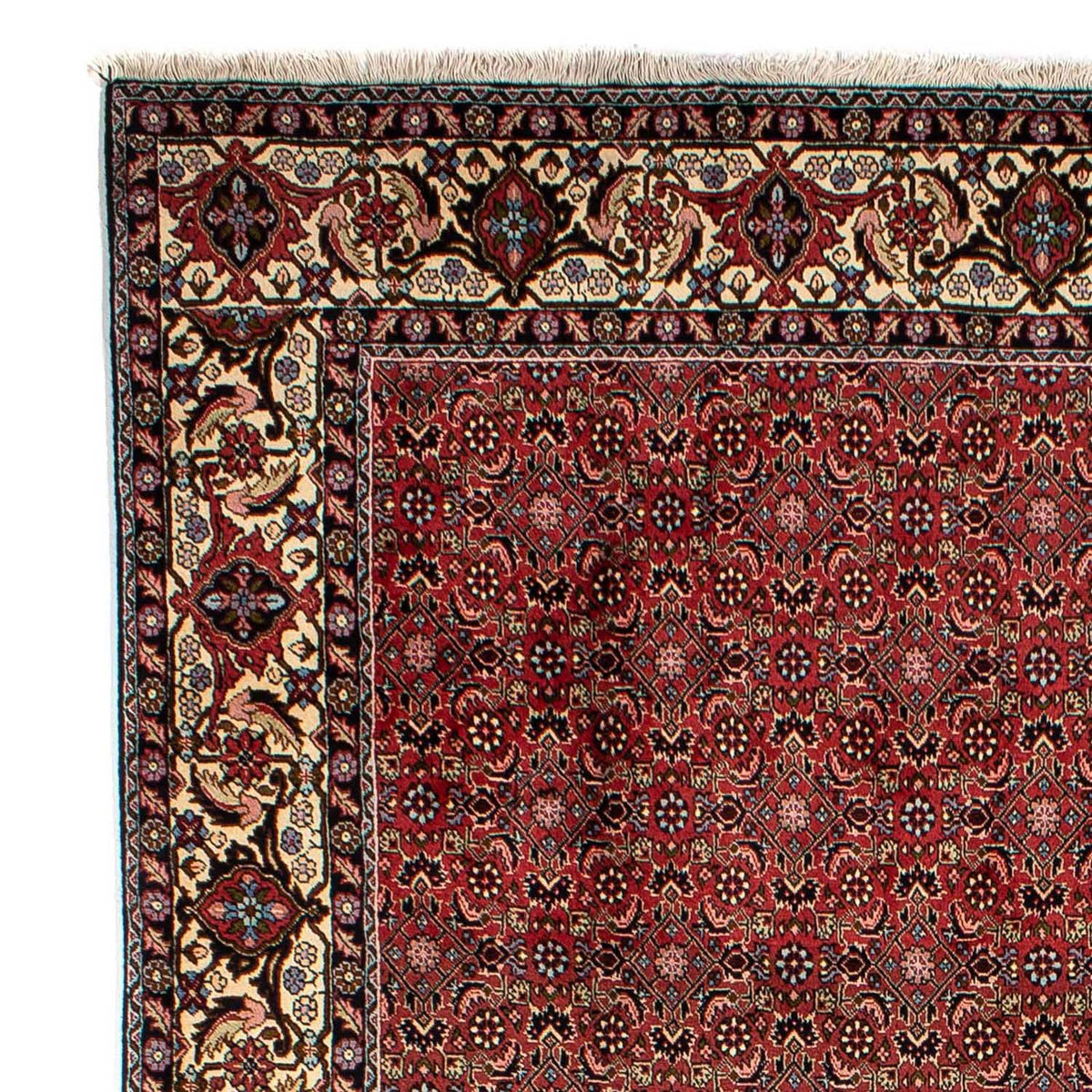 Bidjar Alfombra 198x298cm - Alfombra persa
