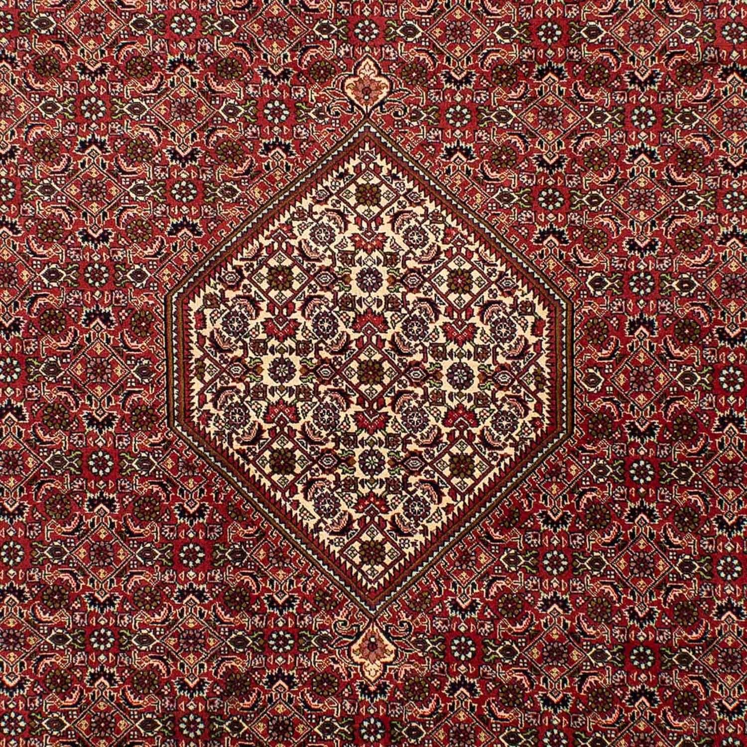 Alfombra persa - Bidjar - 302 x 198 cm - rojo claro