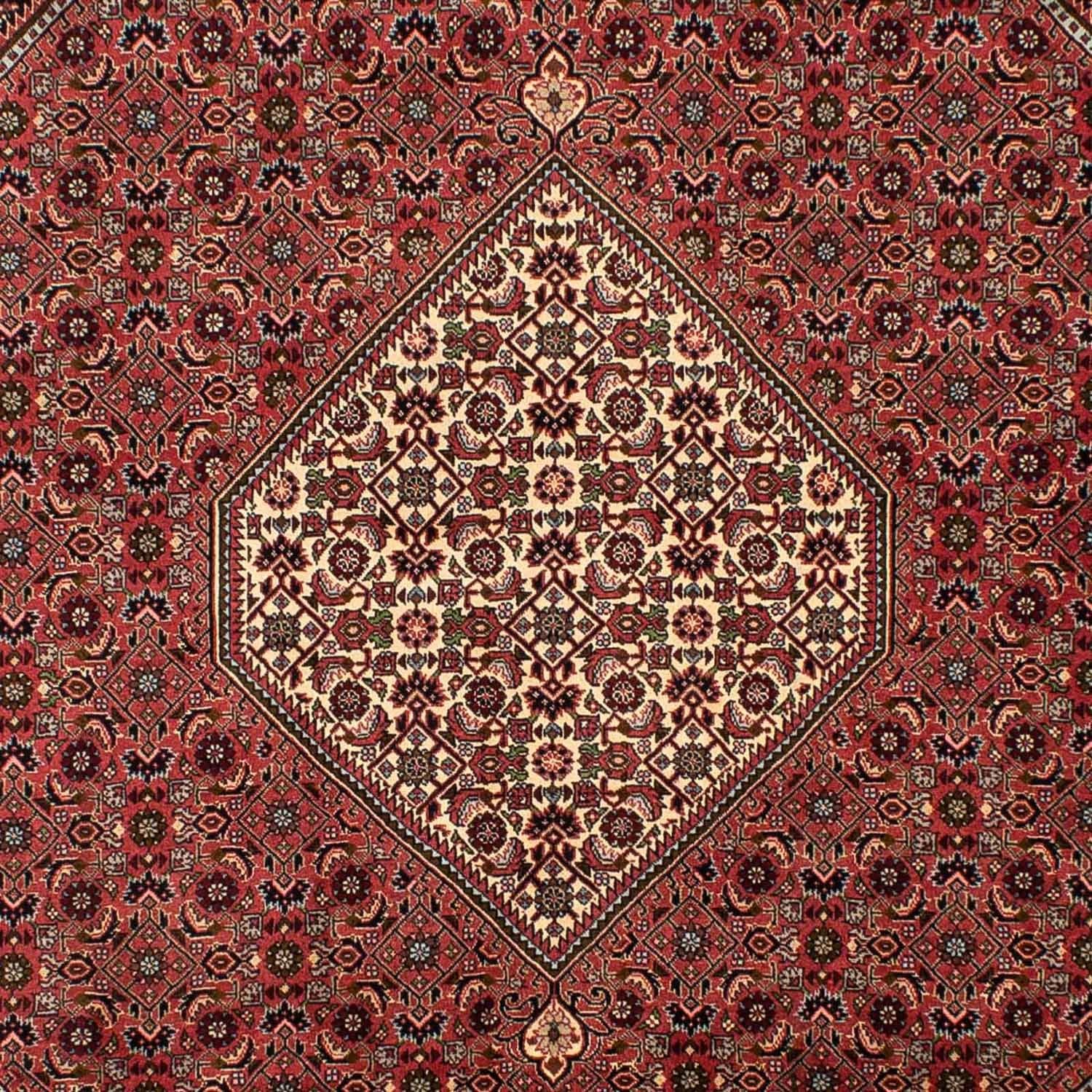 Alfombra persa - Bidjar - 308 x 200 cm - rojo claro