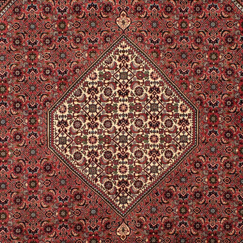 Alfombra persa - Bidjar - 308 x 200 cm - rojo claro
