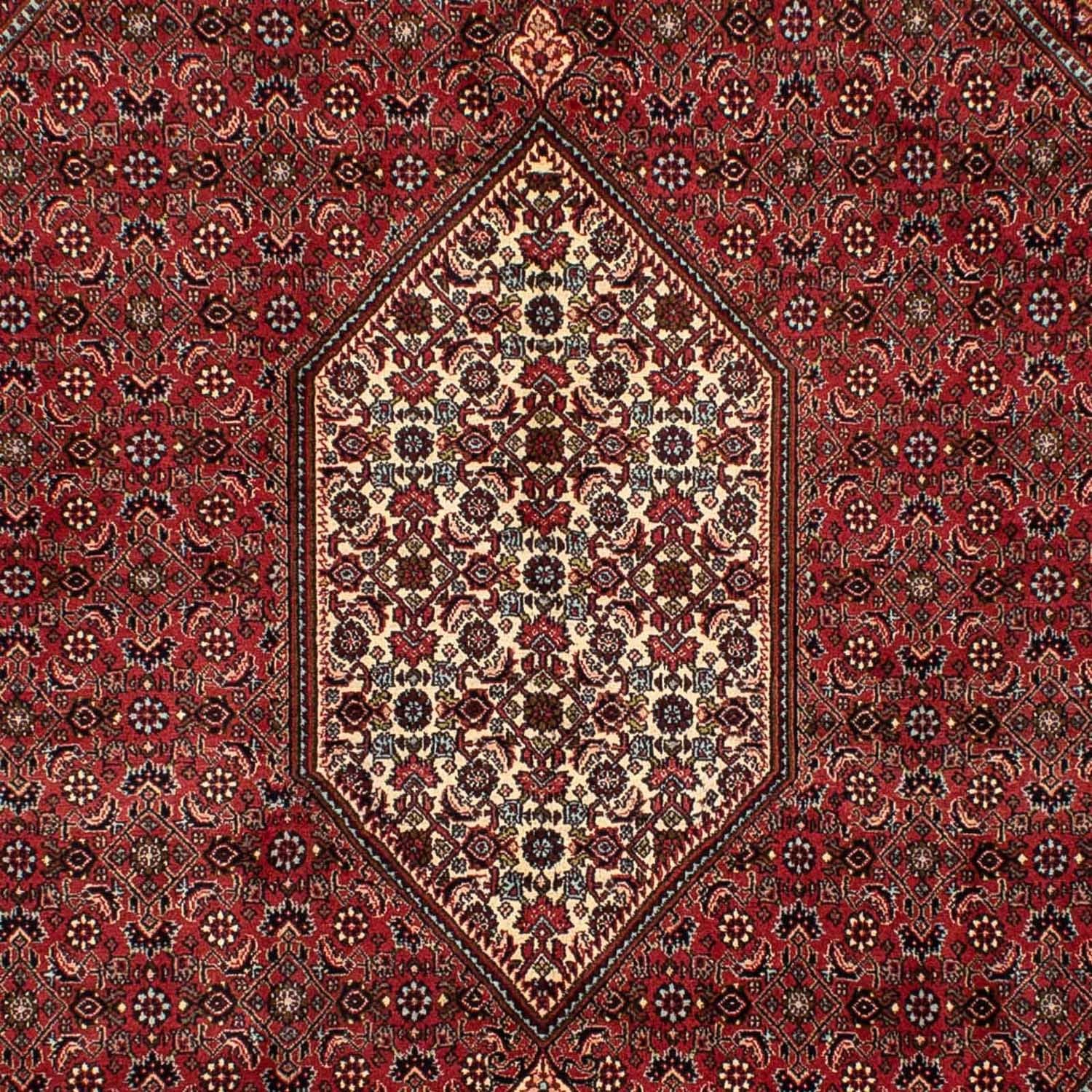 Alfombra persa - Bidjar - 282 x 204 cm - rojo oscuro
