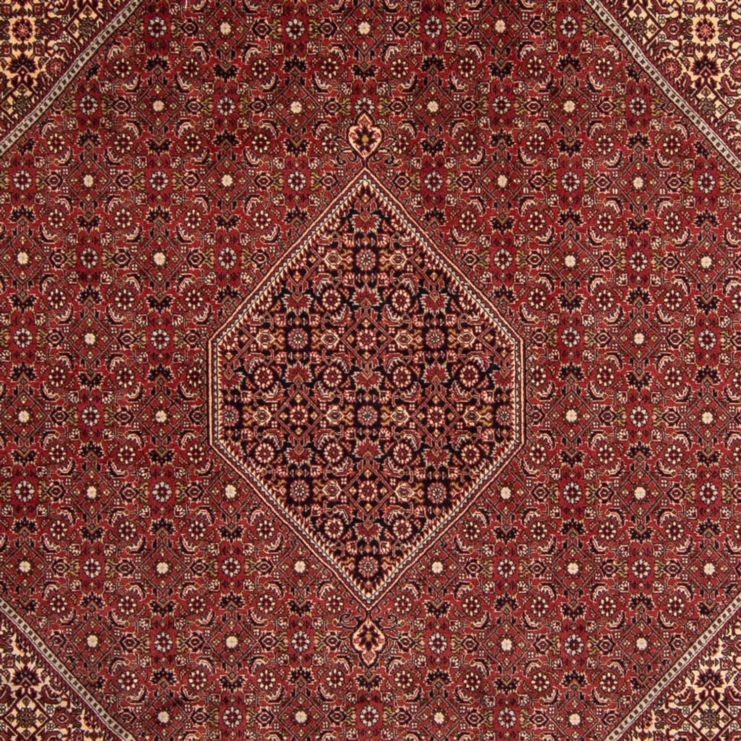 Alfombra persa - Bidjar - 345 x 247 cm - marrón