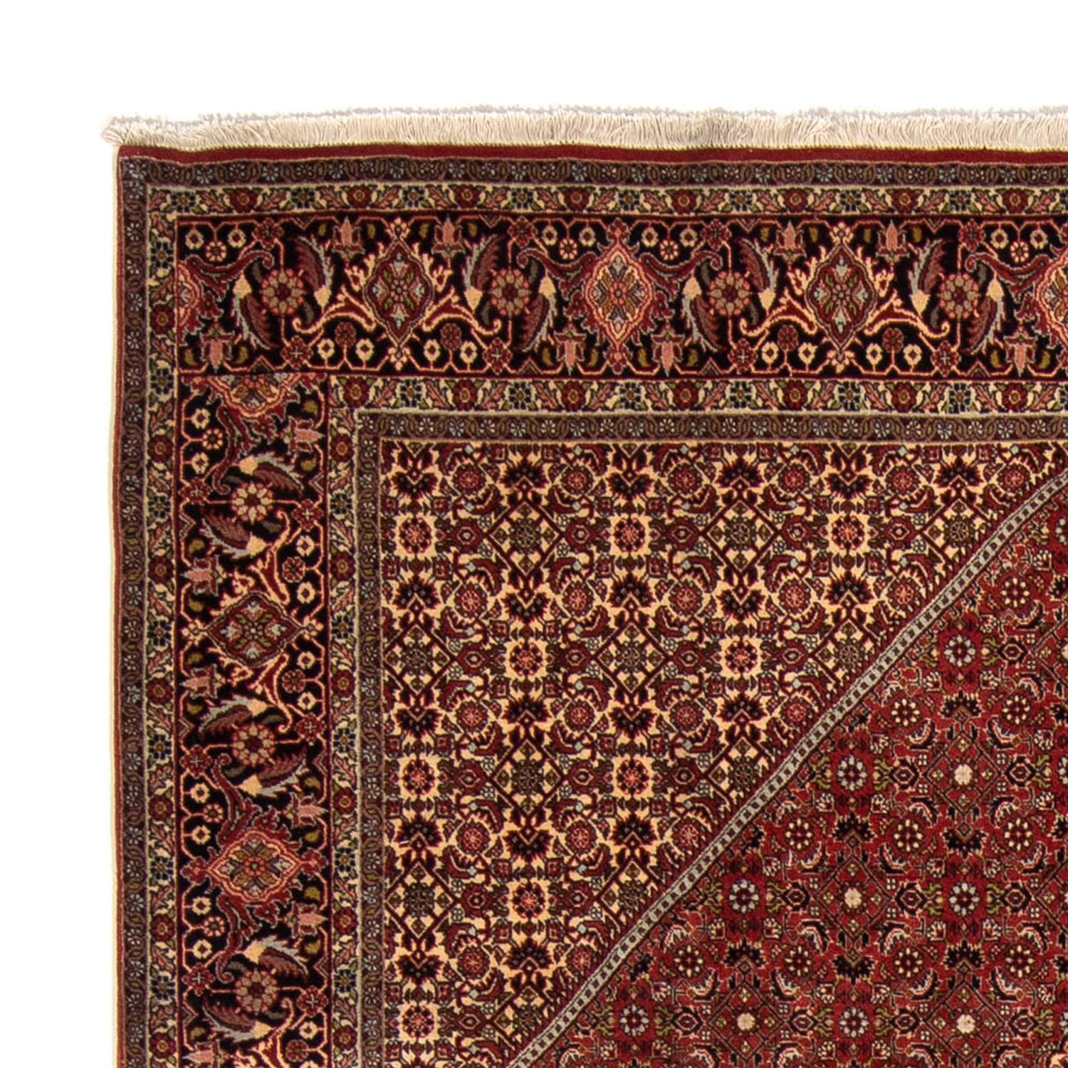 Alfombra persa - Bidjar - 345 x 247 cm - marrón