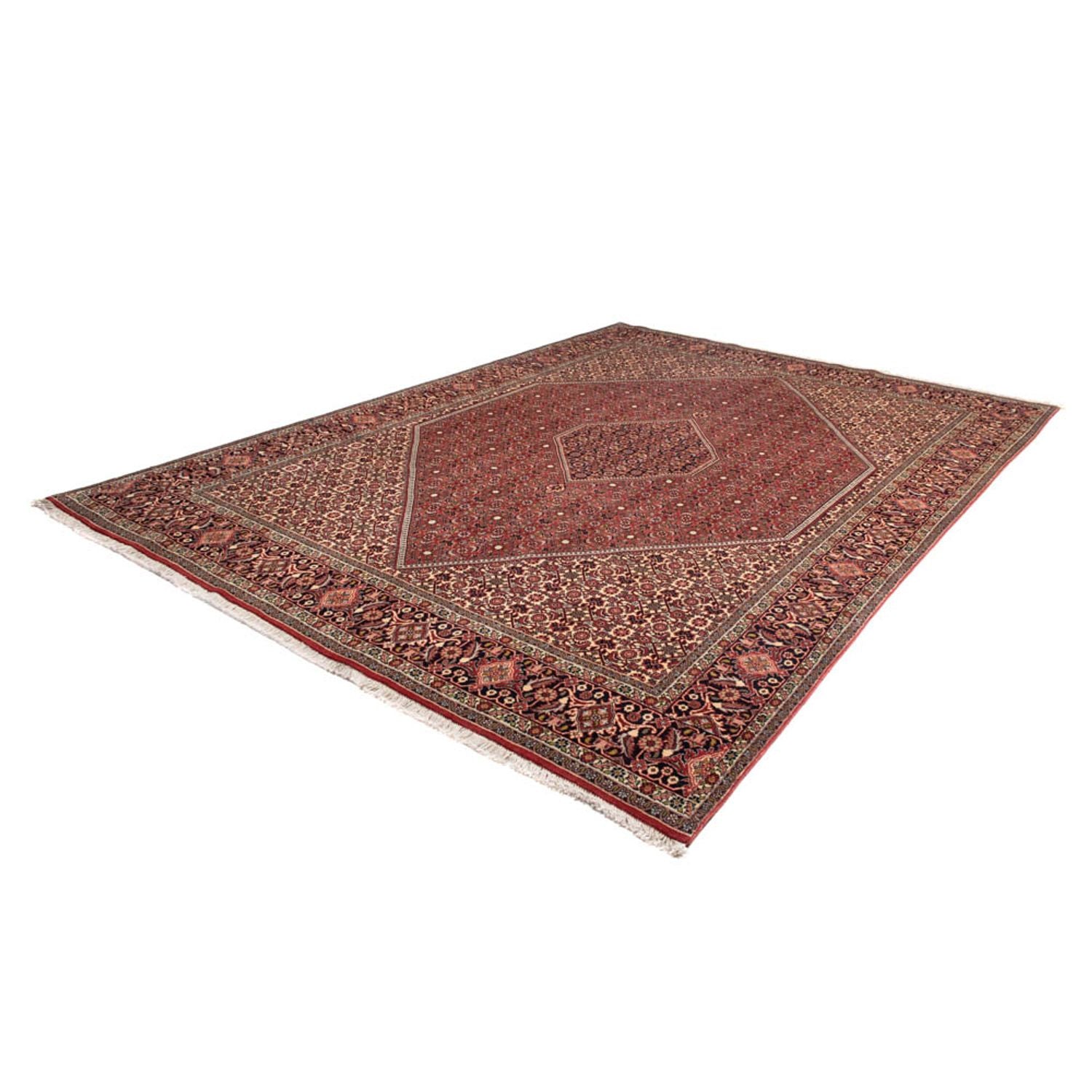 Alfombra persa - Bidjar - 345 x 247 cm - marrón