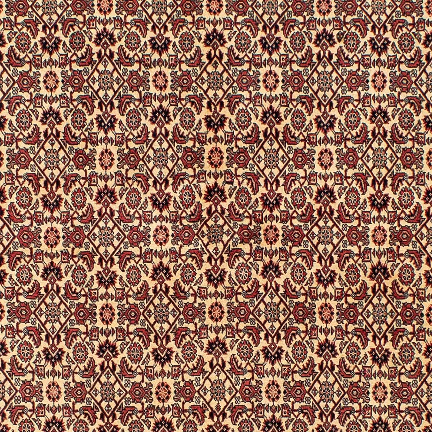 Alfombra persa - Bidjar - 254 x 171 cm - marrón