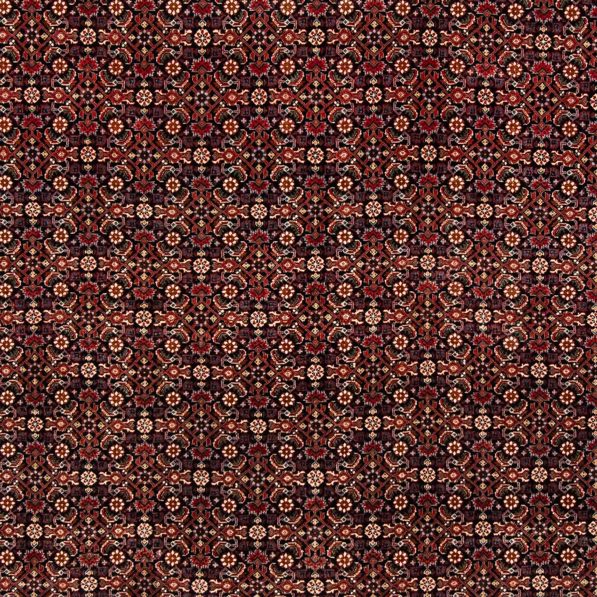 Alfombra persa - Bidjar - 248 x 205 cm - rojo oscuro