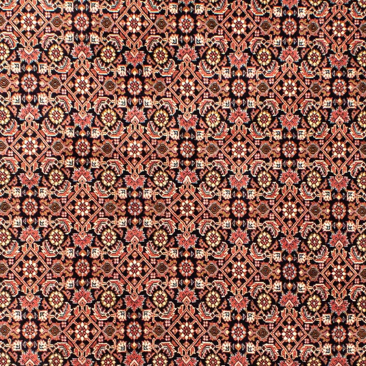 Alfombra persa - Bidjar - 235 x 170 cm - rojo claro