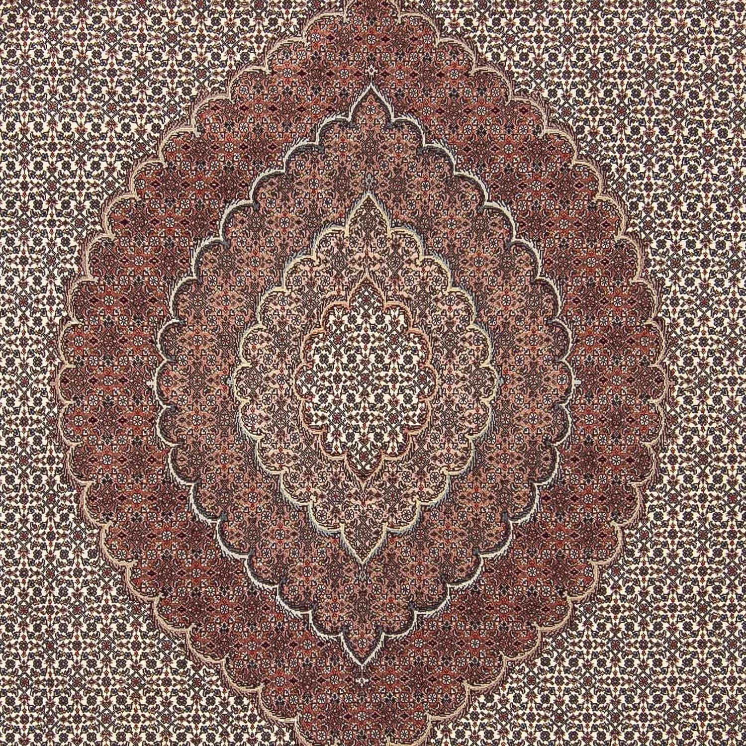 Alfombra persa - Tabriz - 300 x 250 cm - multicolor