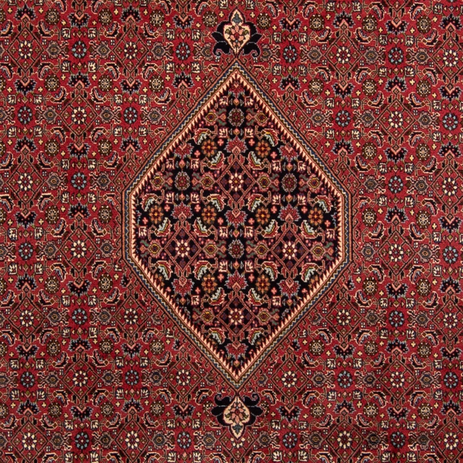 Alfombra persa - Bidjar - 343 x 248 cm - marrón