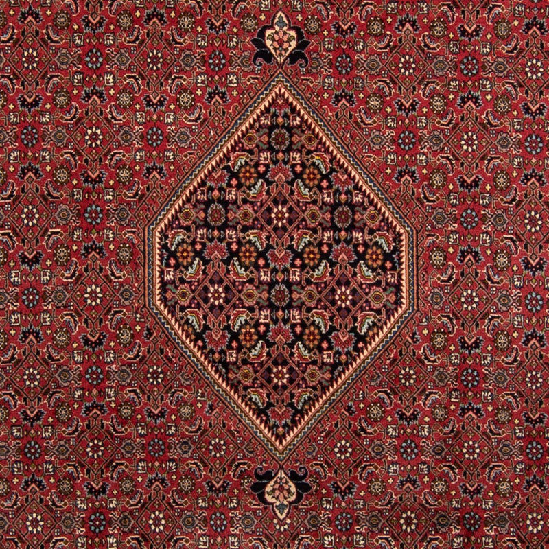Alfombra persa - Bidjar - 343 x 248 cm - marrón
