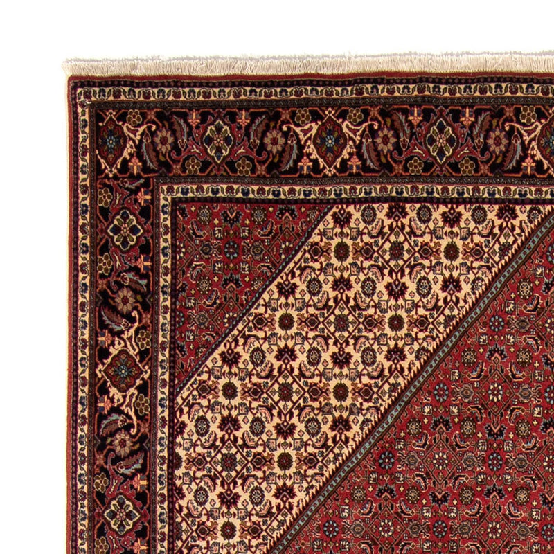 Alfombra persa - Bidjar - 343 x 248 cm - marrón