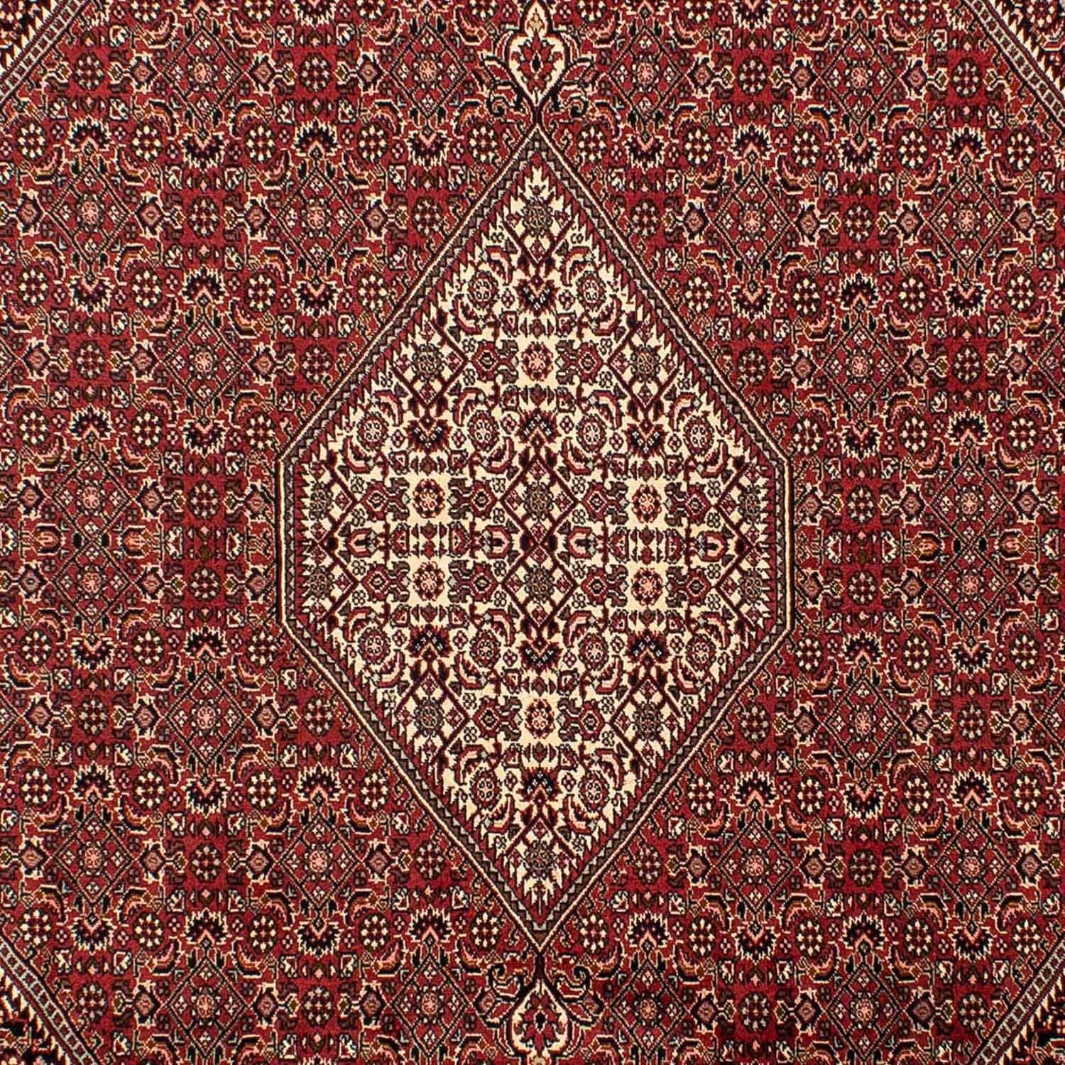 Alfombra persa - Bidjar - 304 x 200 cm - marrón