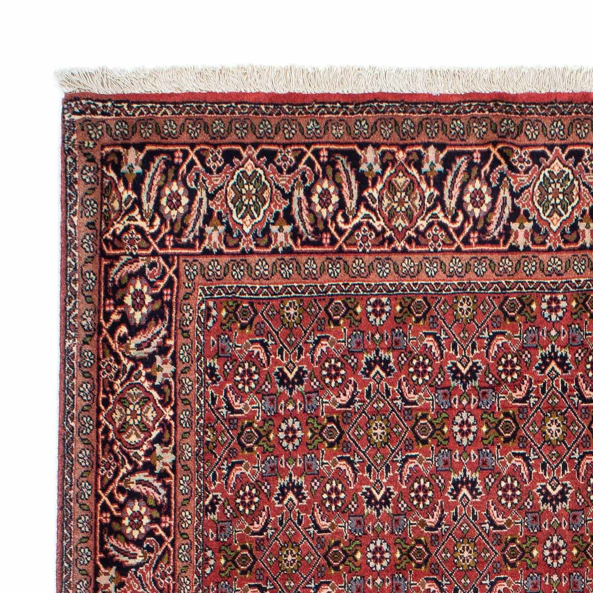 Bidjar - Zanjan Alfombra 142x207cm - Alfombra persa