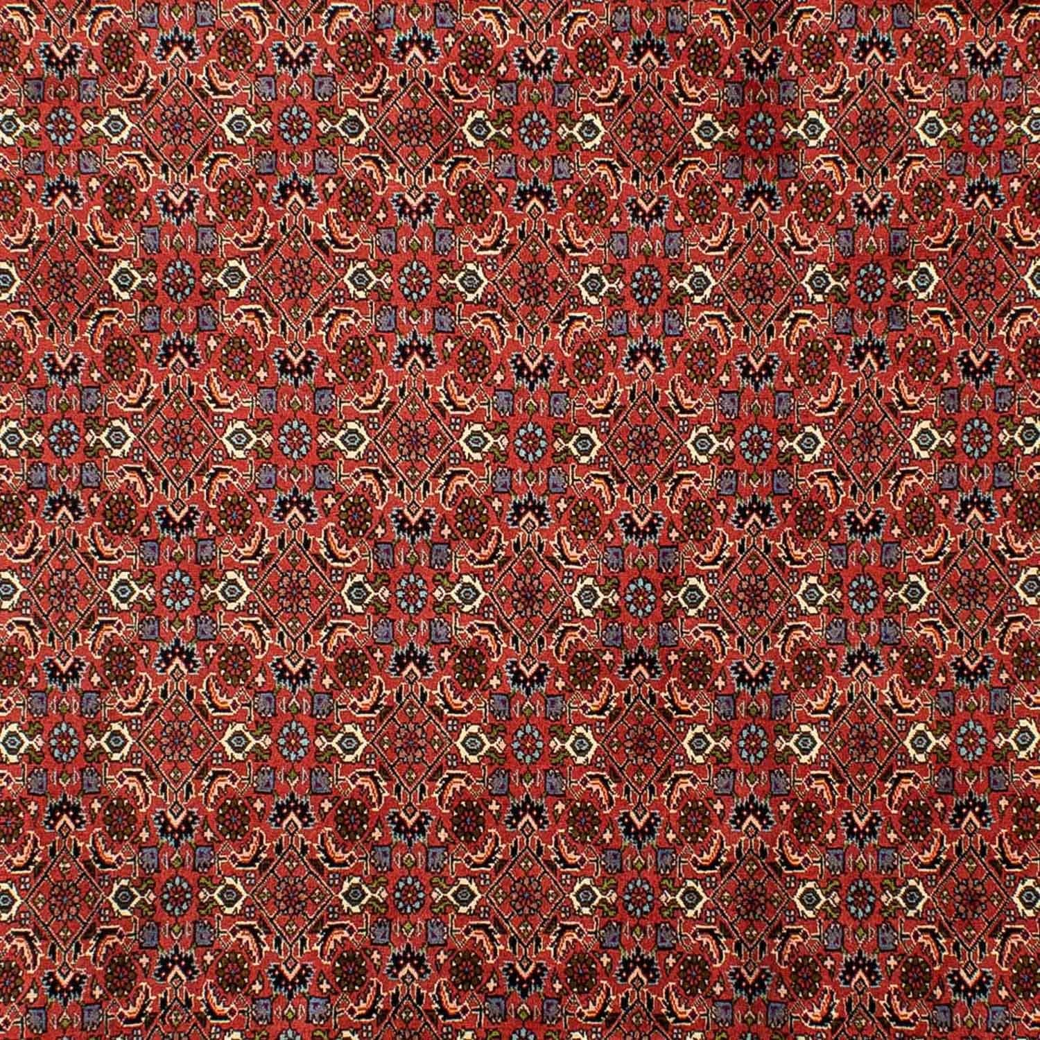 Alfombra persa - Bidjar - 290 x 200 cm - rojo oscuro