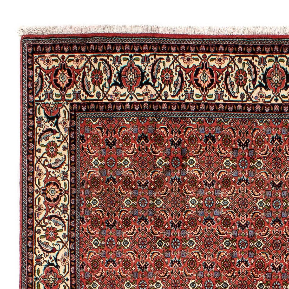 Bidjar Alfombra 200x290cm - Alfombra persa