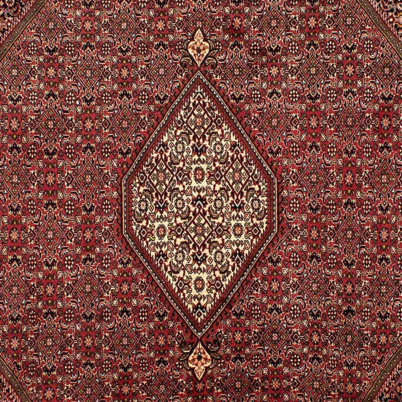 Alfombra persa - Bidjar - 305 x 202 cm - marrón