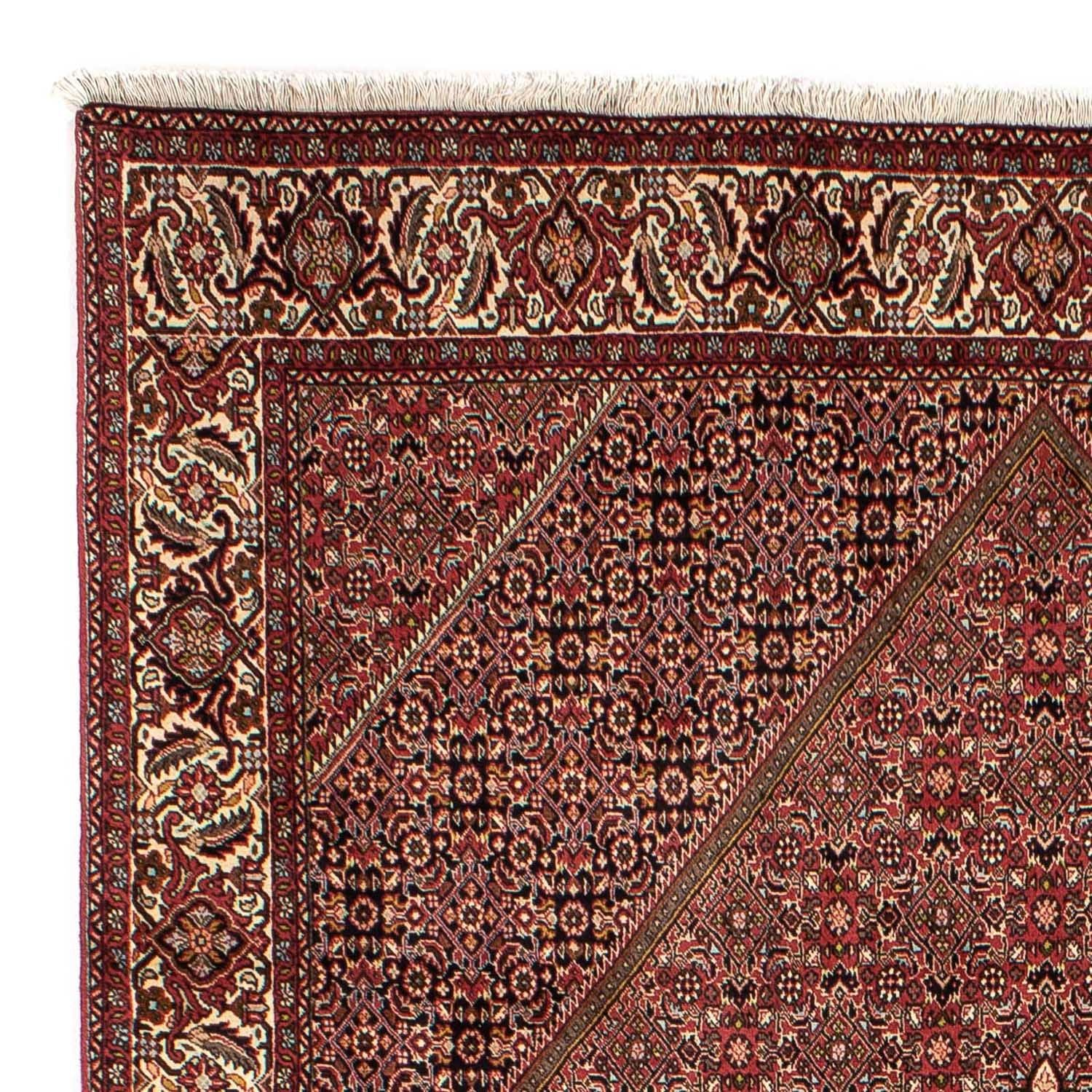 Alfombra persa - Bidjar - 305 x 202 cm - marrón