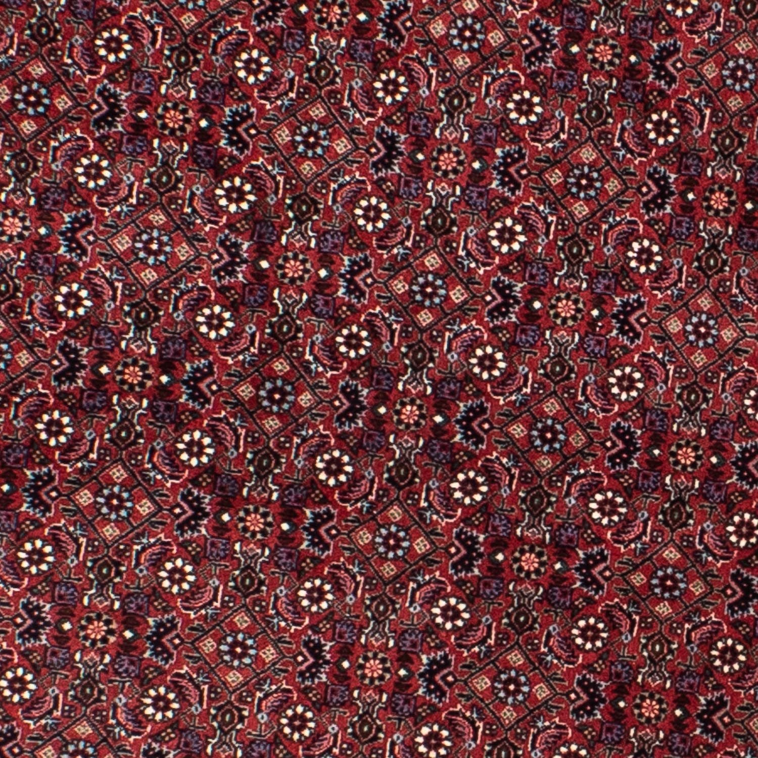 Alfombra persa - Bidjar redondo  - 160 x 160 cm - rojo oscuro