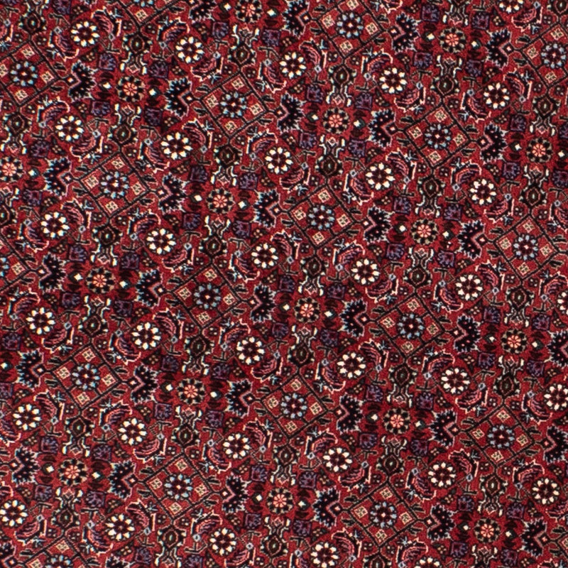 Alfombra persa - Bidjar redondo  - 160 x 160 cm - rojo oscuro