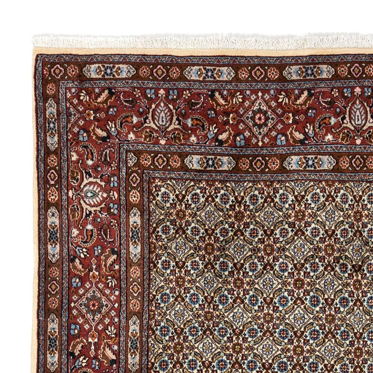 Moud Alfombra 165x236cm - Alfombra persa