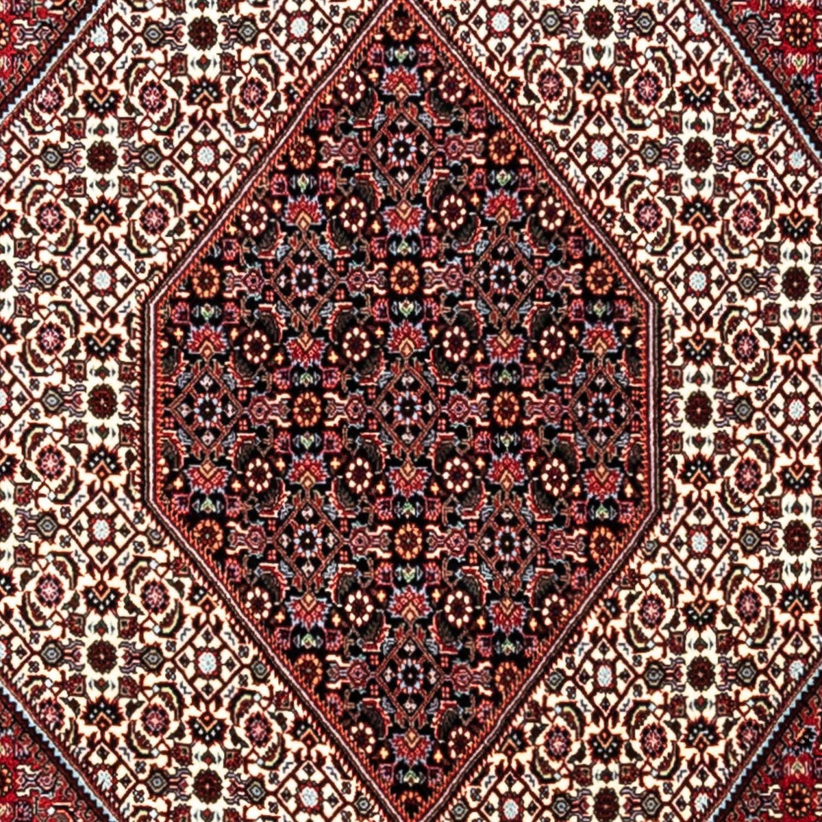 Alfombra persa - Bidjar - 338 x 249 cm - rojo