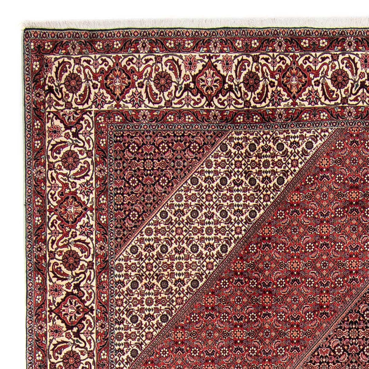 Bidjar Alfombra 251x295cm - Alfombra persa